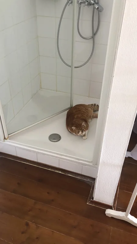 Zum Rostigen Jeremias, Baño